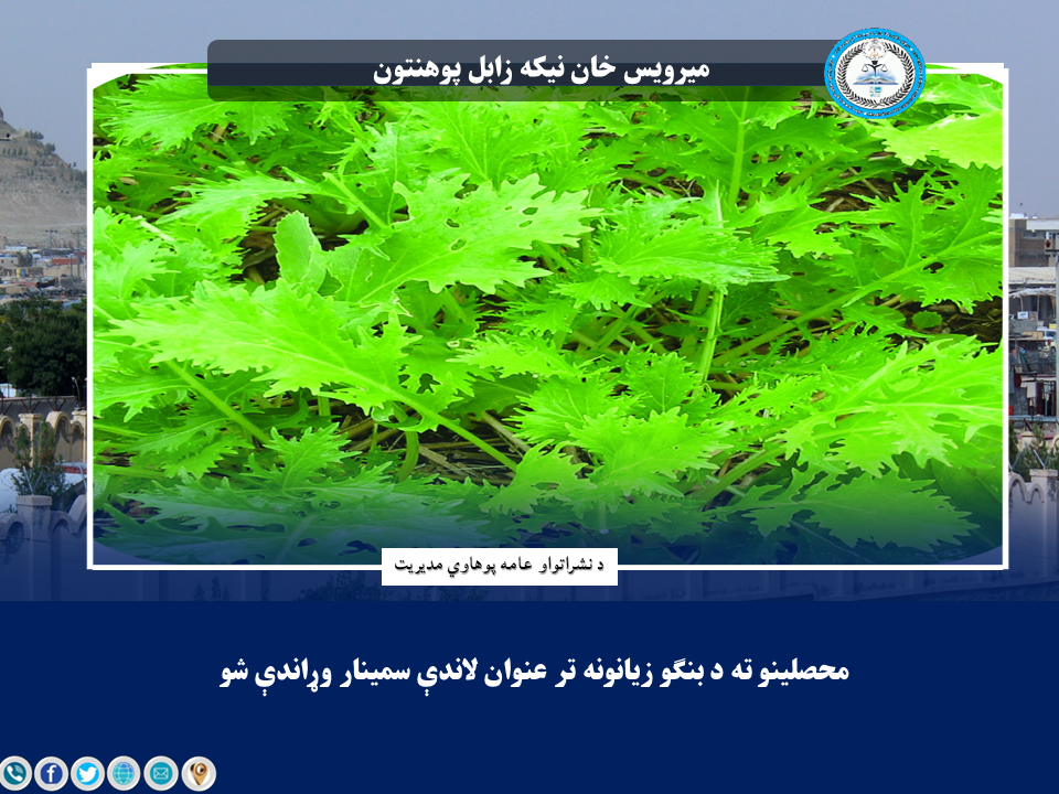 د محصلینو ته د بنګو زیانونه تر عنوان لاندې سمینار وړاندې شو